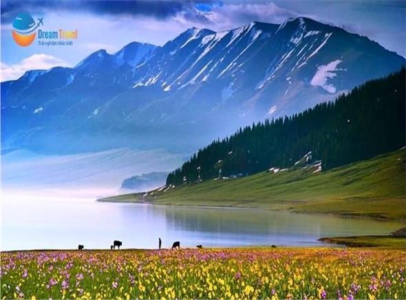 Tour Tân Cương Trung Quốc 2026: Urumqi - Burgin - Kanas